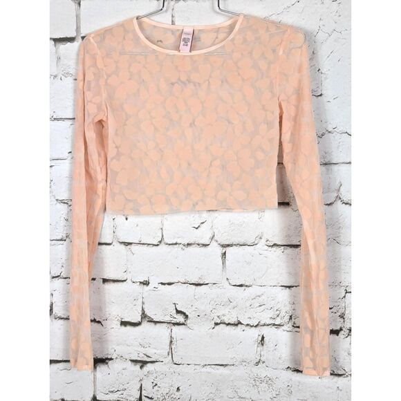 VICTORIA'S SECRET Floral Flocked Sheer Mesh Stretch Crop Top Pink Festival Small - Picture 1 of 6